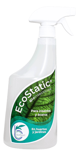 Ecostatic