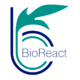 BioReact