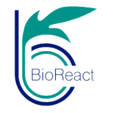 BioReact