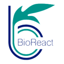 BioReact